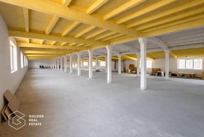 Hala moderna, pretabila pentru birouri, depozitare, 1094mp, etaj1, zona Aeroport - 11