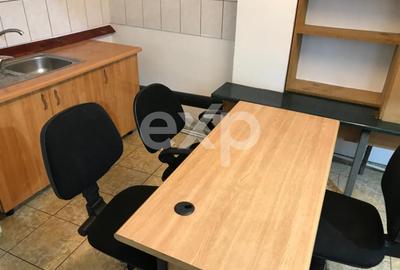 De inchiriat vila in Pitești zona Teilor ideala pentru grupuri de lucru - 11