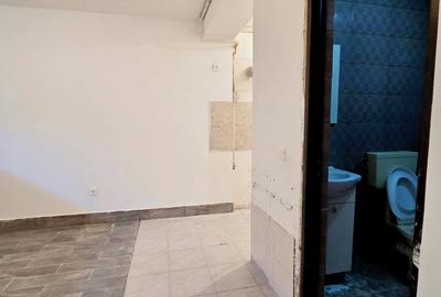 Studio Demisol Strada Trandafirilor  Fundeni Dobroești - 8