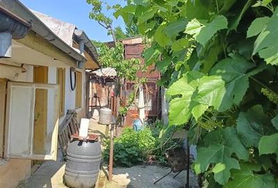 Casa demolabila  Islaz v Plantelor 215 mp cu 7m deschidere - 5