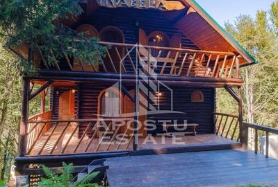 Pensiune, casa de vacanta, 6 camere, statiunea Rausor din Hunedoara - 29