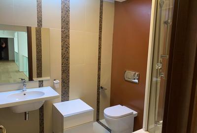 Penthouse lux 4 camere //terasa//Nordului-Herastrau - 13