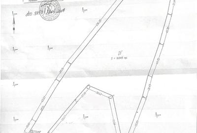 Vanzare teren Colibita - Bistrita-Nasaud - 16950mp - 1