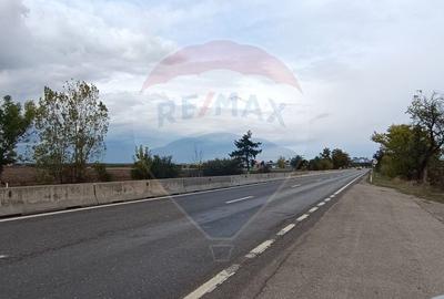 Teren 6,500mp Snagov / DN 1 - 7