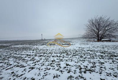 Teren agricol extravilan in Itesti de vanzare - 7
