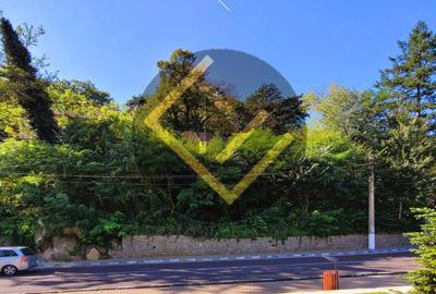 0% Vanzare teren si constructie Locatie de exceptie Calimanesti Calea lui Traian - 4