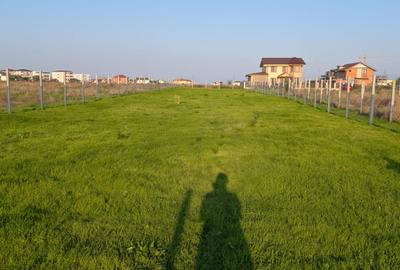 Teren Intravilan, Veterani, 500 Mp, Imprejmuit, Utilitati - 2