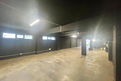 Spațiu industrial  – Zona Victoriei – Str. Teodosie Rudeanu nr. 41, - 5