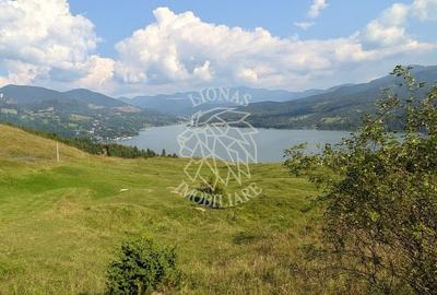 Oportunitate Investitie! Teren intravilan 1000 mp-utilitati-Colibita - 2