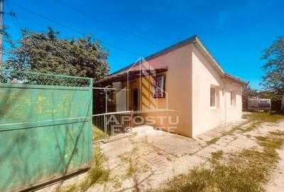 Casa de vanzare- zona Alfa, Penny - 18