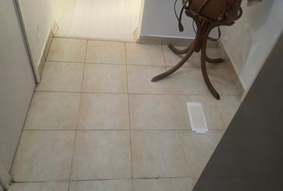 Sala Palatului, Ion Campineanu - 18