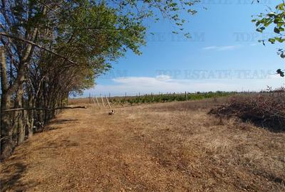 Teren Construcții intravilan de 15743 mp, în Agigea