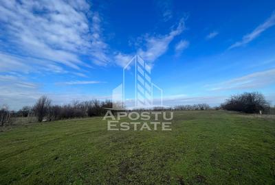 Parcele de teren pentru inchiriat, zona Gai - 2