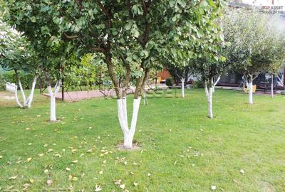 Ansamblu de proprietati in Costinesti - 18