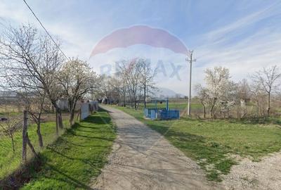 Teren Construcții intravilan de 1992 mp, în Coșoveni