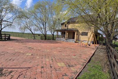 Fermă Zootehnică de Vânzare 6 Ha | Vaci și Oi | Grajd si Saivane | Calugareni | - 6