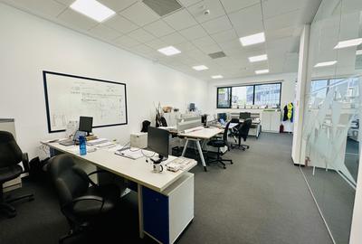 Spațiu de Birouri Modern – 220 mp Open Space | Parcul Tehnologic Tetarom I - 6