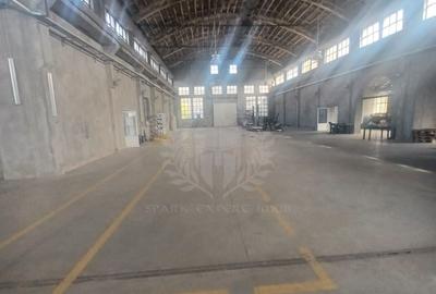 Spațiu industrial, în Bereasca