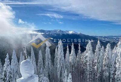 Hotel 4* Poiana Brasov - 2