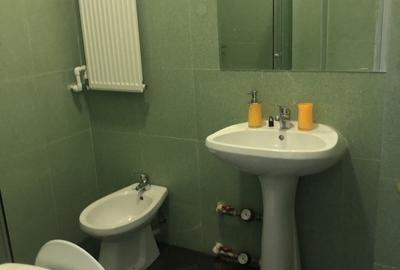 Apartament cu 2 camere cu vedere in  Cismigiu - 11