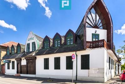 Pensiune 18 Camere cu Restaurant - Cetatea Oradea - 3
