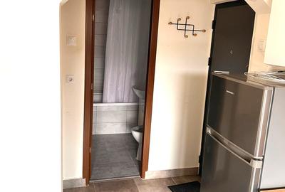 Chirie apartament 2 camere zona Lidl mobilat utilat 250eur /luna - 7
