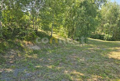 Vanzare Teren Intravilan Salicea - Cluj cu Autorizație și Utilități la Parcelă - 9