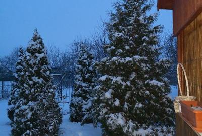 FARA COMISIOANE casa cu 6 camere 2 bucatarii P+1 TIGLA PISCINA BECI GARAJ - 23