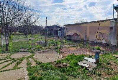 VANZARE CASA 5 CAMERE | TEREN 660 MP | ROSIORI DE VEDE - 4