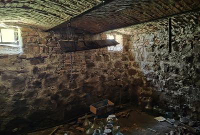 Casa 3 camere libera la vanzare TARLUNGENI - 13