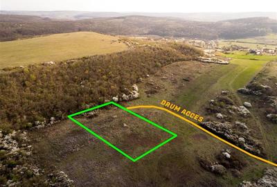 RECO Teren exclusivist 1800 mp in Betfia – panorama superba - 3