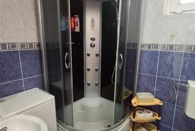 Apartament cu o camera 50mp gradina parcare zona Terezian - 3