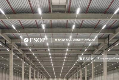 WDP Industrial Park Aricestii Rahtivani, hale, 3.000 - 65.000mp - 2