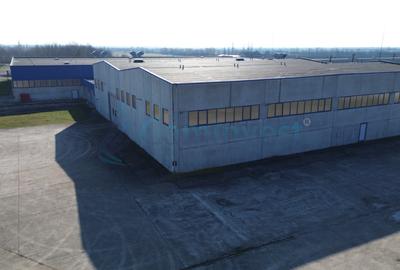Hala Industriala de vanzare 6500 mp in Madaras la 30 km de Oradea, Bihor - 10