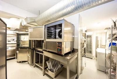 Restaurant 160 mp + terasa 90 mp + parcare ASTORIA RESIDENCE Lunca Cetatuii - 13