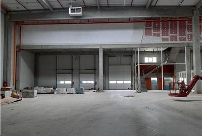 Spatiu Industrial - 5300 mp - Logistica - Productie - Depozitare - Distributie - 3