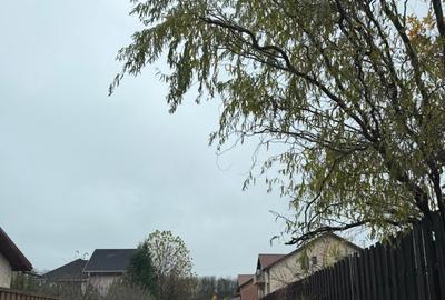 Corbeanca – langa padure si Moara Corbeanca, 1118 mp, deschidere 20 m, utilitati - 7