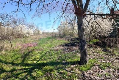 Teren 3,700mp Dobriceni / Strada Sabin Balașa - 3