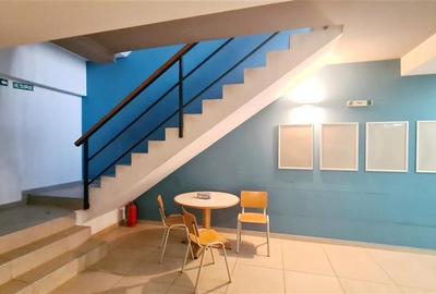 Cladire de inchiriat Timisoara, semicentral, parcare proprie - 14