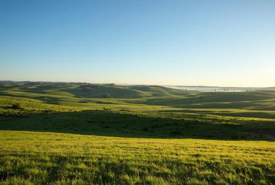 Vanzare Teren Extrav. divizate Arabil, Pășune Chesint, Zabrani48.86ha - 4