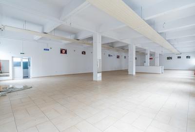Spatiu industrial/comercial P+1, 3400 mp utili, teren 4000 mp, Marasti - 14