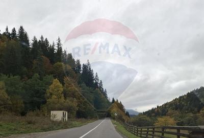 Vânzare teren extravilan, 4 ha pădure, zona turistică Liban, Harghita - 4