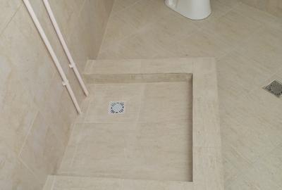Vilă de  la Podul Grant – 250 mp + 100 mp curte - 44