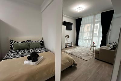 Apartament de inchiriat, o camera, Open space, 35 mp, Lunca Cetatuii - 5