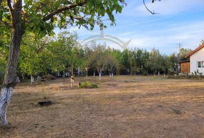 DOM00438 - De vanzare teren intravilan 1000 mp. Corbeanca - 5