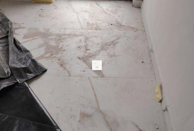 Casa 4 camere Crevedia - 9