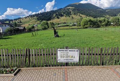 Teren intravilan cu potential pentru investitii la drumul european - 1