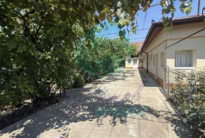 Casă parter + 1100 mp teren în Popești-Leordeni - 3