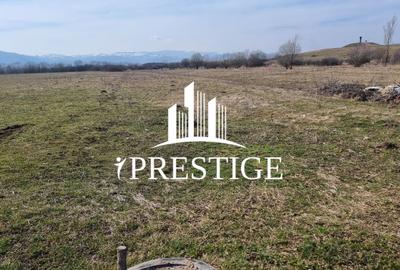 TEREN DE VÂNZARE 1000 MP ȘELIMBĂR ZONA TROIȚĂ | INVESTIȚIE - 11