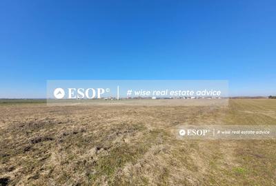 Teren de vanzare, Dascalu, ID 15402 - 17